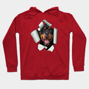 Cartoon Style Rottweiler Dog Poking Its Head Through Ripped Paper Hoodie